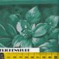 Preview: David Wolverson DW 01-Bas Relief